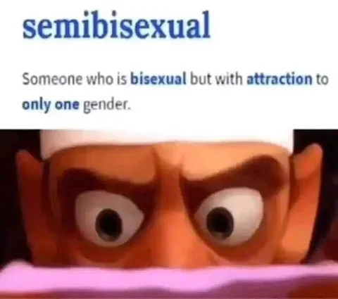 Semibisexual Definition Meme