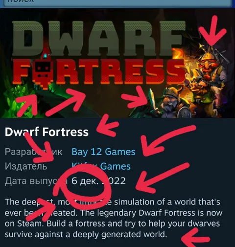 Dwarf Fortress Release Date