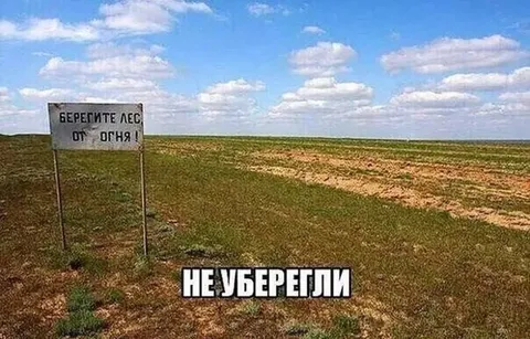 Не уберегли лес от огня