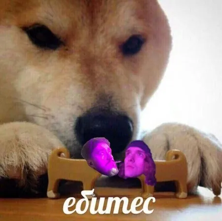 Ебитесь на фоне собаки