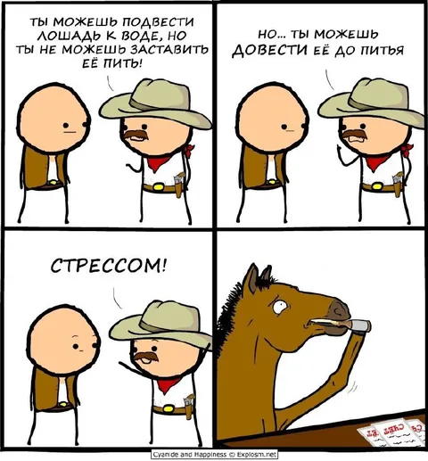 Лошадь, вода и стресс