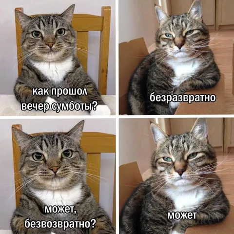 Как прошёл вечер субботы