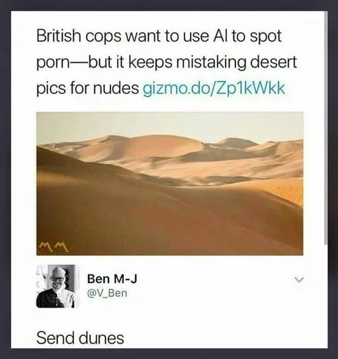 AI Mistakes Desert Dunes for Porn