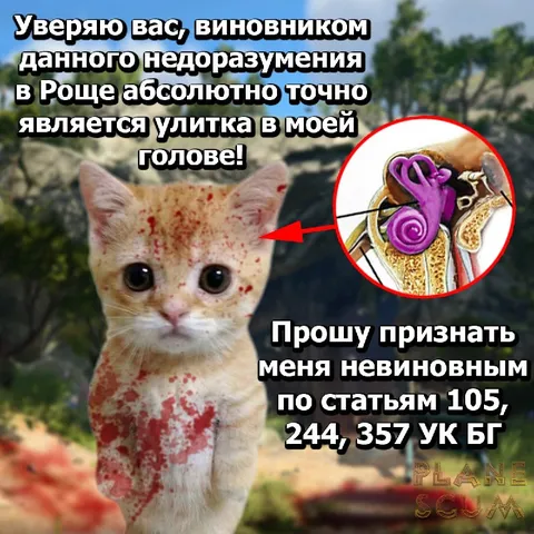 Улитка в моей голове