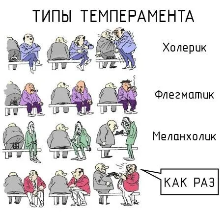 Типы темперамента: как раз