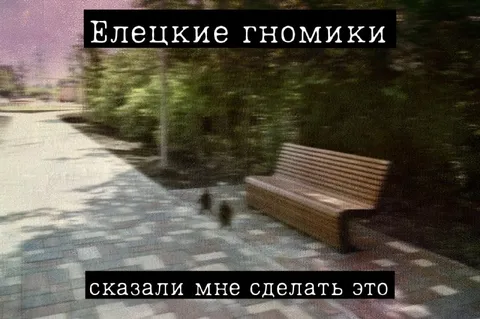 Елецкие гномики сказали сделать это