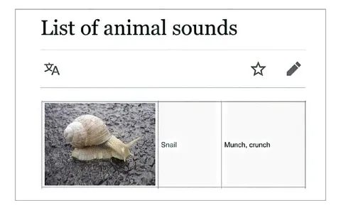 Snail Munch Crunch