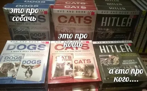Это про кого?