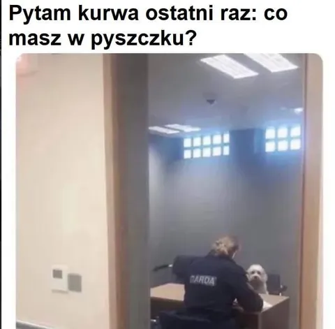 Co masz w pyszczu?