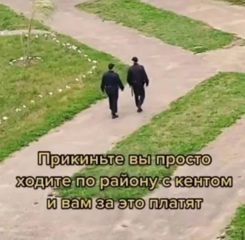 Прогулка по району с кентом