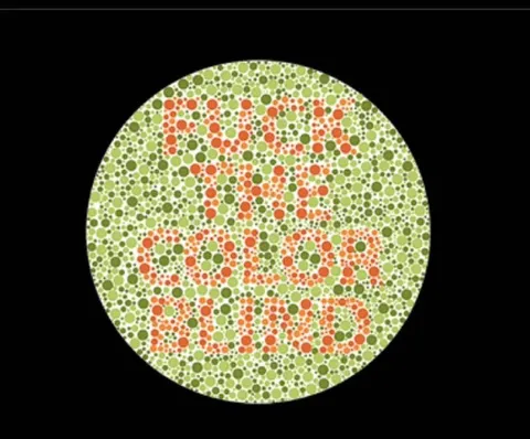 Ishihara Plate Says Fuck You