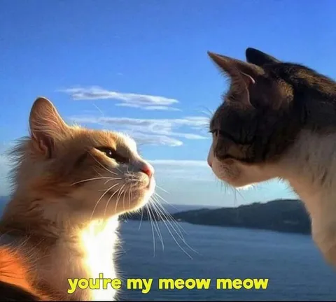 You're My Meow Meow