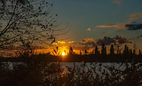 Закат и подозрительное предложение
