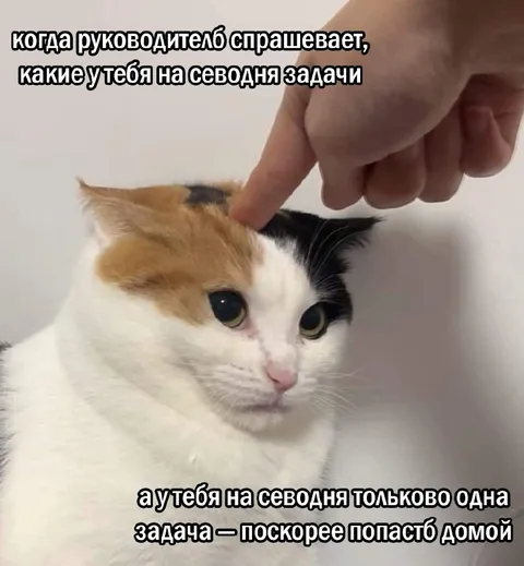 Только одна задача на сегодня