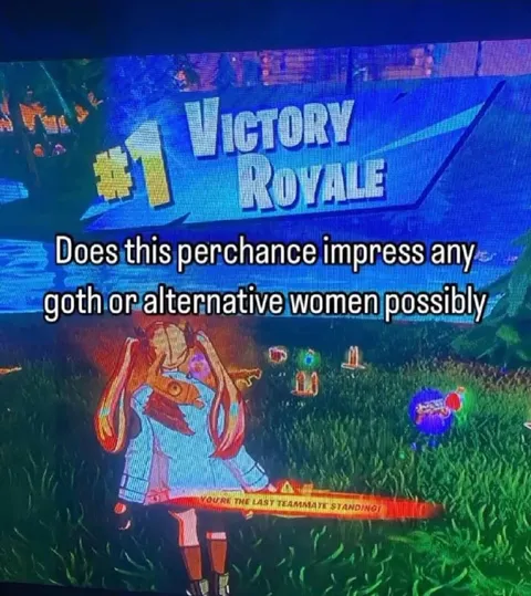 Does This Perchance Impress Goth Women