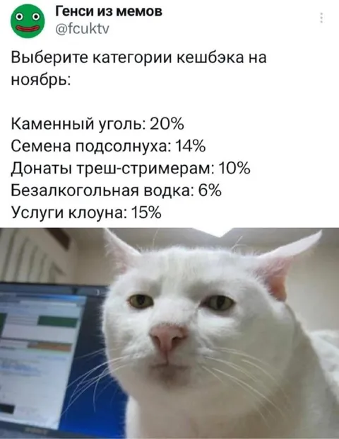 Кэшбэк на самые странные траты