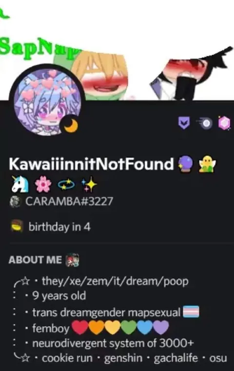 Chaotic Discord Profile Bio