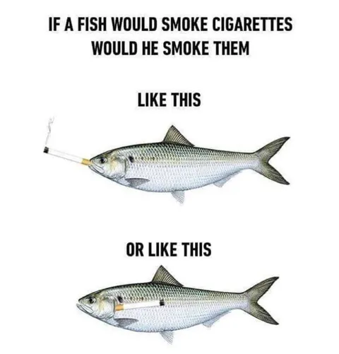 Fish Smoking Cigarettes
