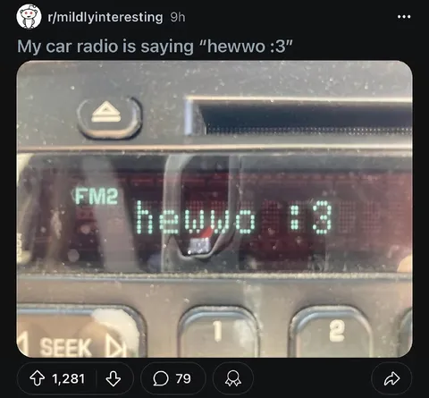 Car Radio Says Hewwo :3