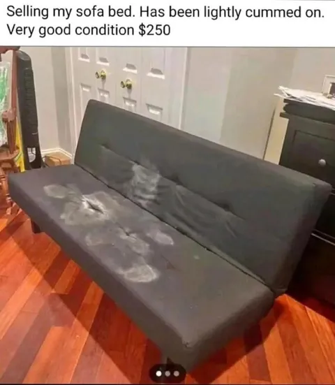 Lightly Cummed Sofa Bed