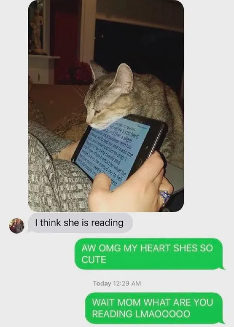 Cat Reading Mom's Phone