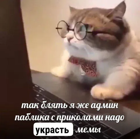 Админ крадёт мемы