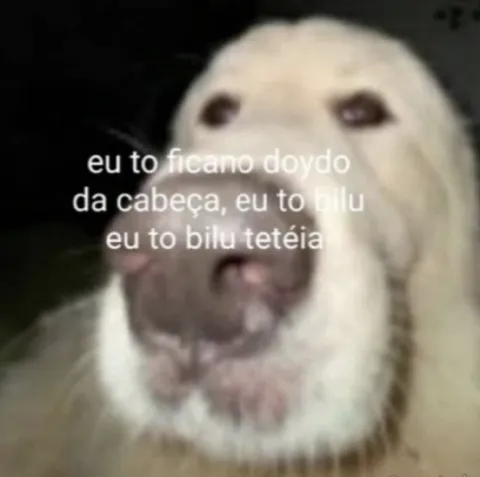 Eu tô ficando doydo da cabeça