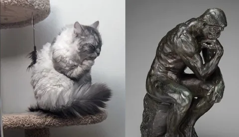 Кот и мыслитель