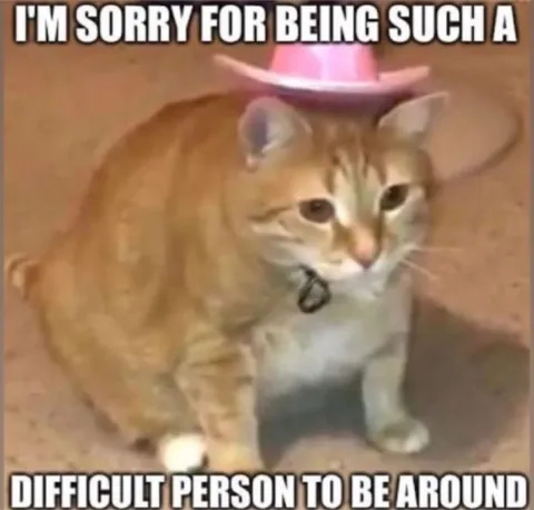 Difficult Person Cat Meme