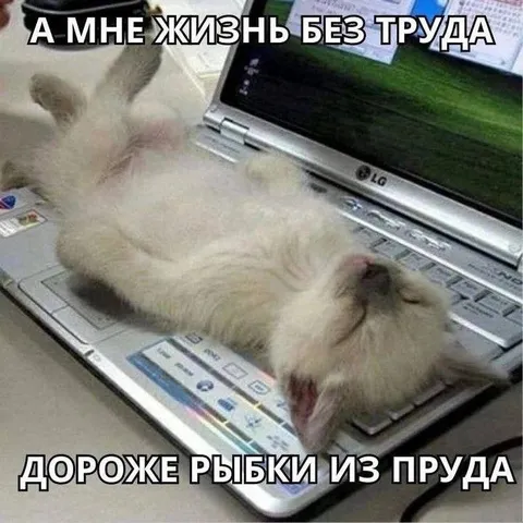Жизнь без труда дороже рыбки