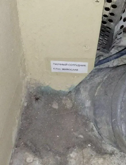 Паучный сотрудник Жирослав