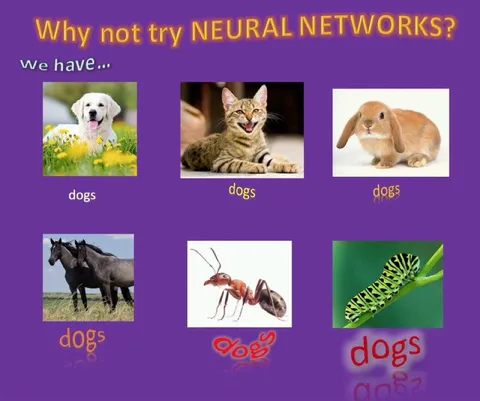 Neural Networks Classify Everything as Dogs