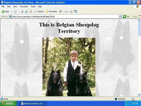 Belgian Sheepdog Territory