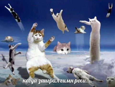 Когда заиграл гимн России