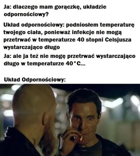 Układ odpornościowy kontra gorączka