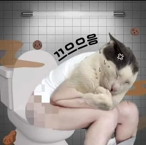 トイレで困る猫