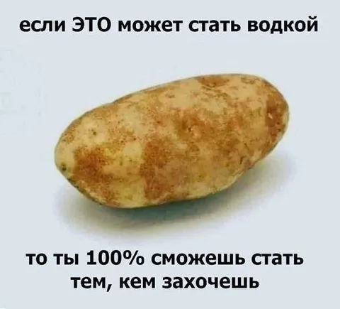 Картошка может стать водкой