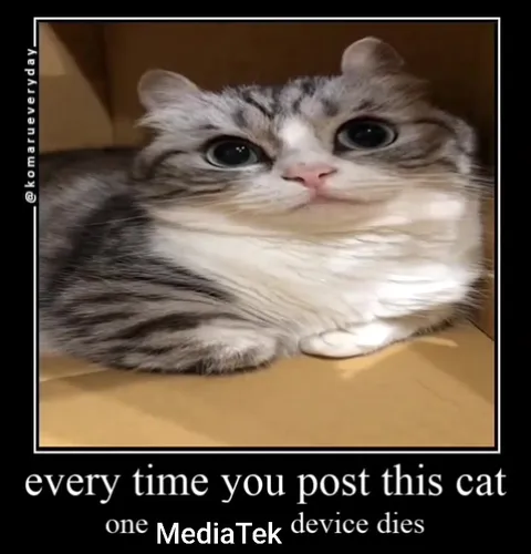 Every Cat Post Kills MediaTek
