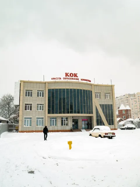КОН — красота, образование, консультация