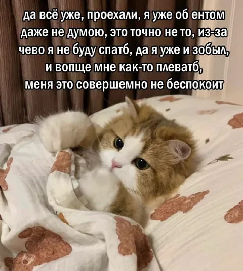 Мне совершенно не беспокоит
