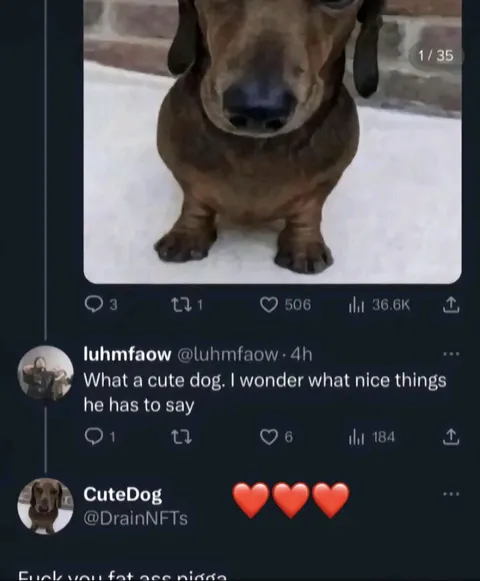 Cute Dog Has Something to Say