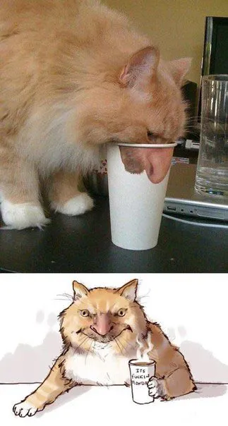 Cat Says It’s Fucking Cold