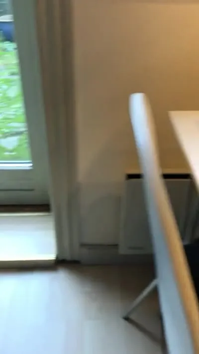 Кот заглядывает в дверь