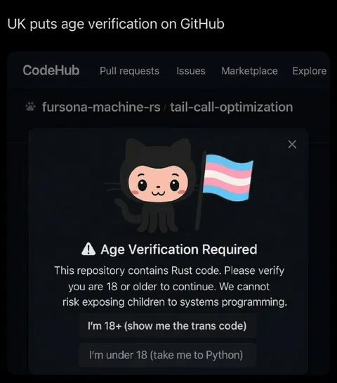 GitHub Rust Age Verification