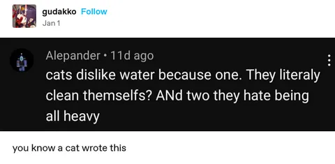 Cat Explains Why Cats Hate Water