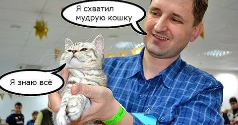 Я схватил мудрую кошку