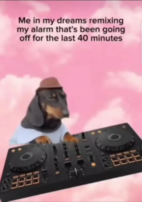 Dog DJs Through an Alarm