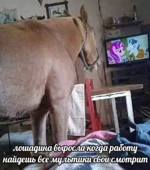 Лошадина выросла и смотрит мультики