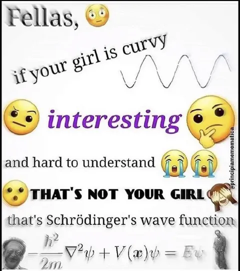 That's Schrödinger's Wave Function