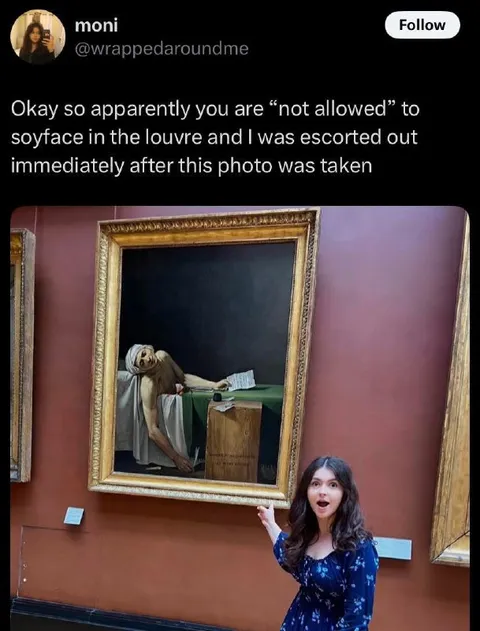 Not Allowed to Soyface at the Louvre